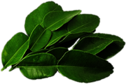 Kaffir Lime Leaves