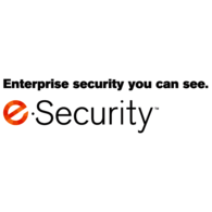 e-Security