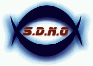 SDNO