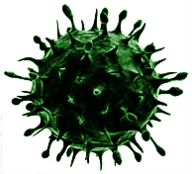 Ugly Green Virus