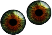 Pair Of Colourful Eyeballs