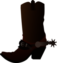 Cowboy Boot Shoe