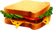 Sandwich Illustration