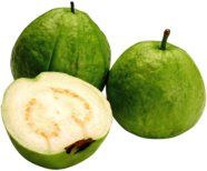 Guava Open