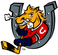Barrie Colts 
