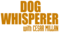 Dog Whisperer