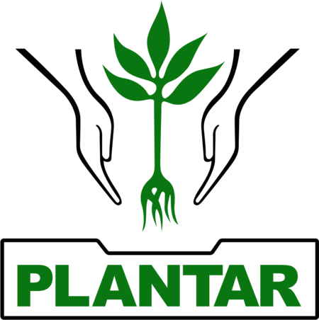 Plantar