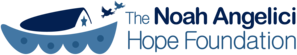 The Noah Angelici Hope Foundation
