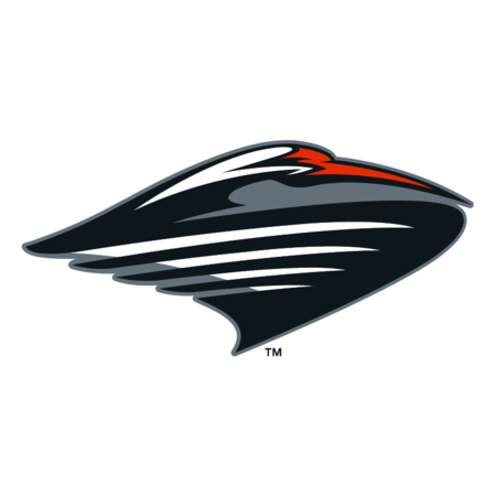 University of Miami Hurricanes