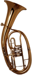 Tenorhorn