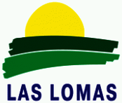 centro comercial lomas de la lagunita