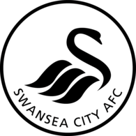 Swansea City 07/08