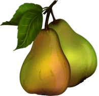 Pear Duo