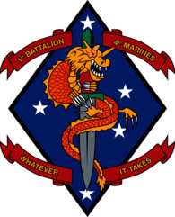 1st Battalion 4th Marine Regiment USMC