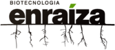 Enraíza Biotecnologia