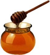 Mini Honey Dipper
