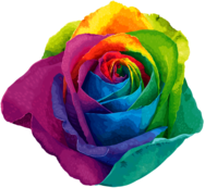 Rainbow Flower