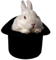 Rabbit Magic