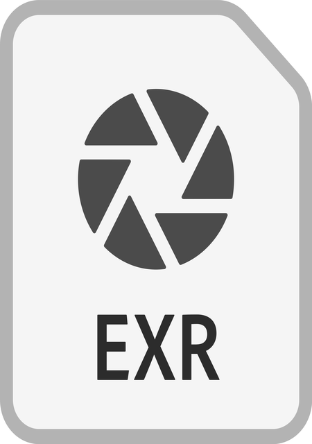 EXR File 