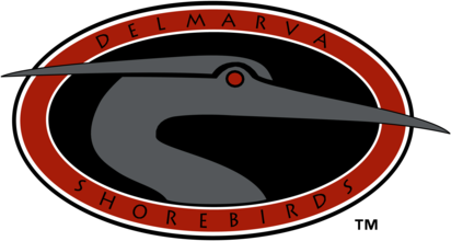Delmarva Shorebirds