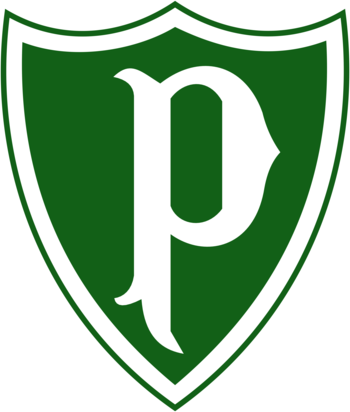 Sociedade Esportiva Palmeiras de Pato Branco PR