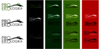 Proekologika