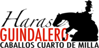 Haras Guindalero