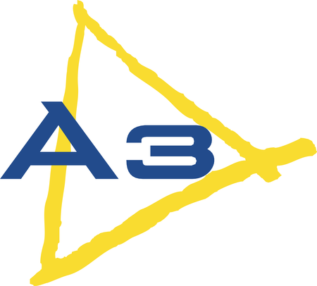 A3