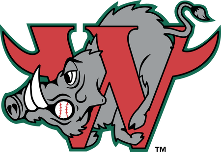 Winston Salem Warthogs