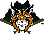 Lynchburg Hillcats