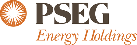 PSEG Energy Holding