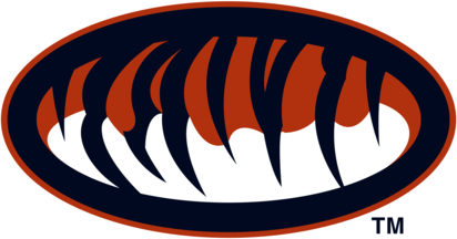 Auburn Tigers 75987