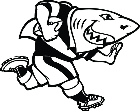 Sharks Rugby