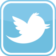 Twitter Square Icon