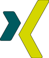 Xing Icon