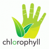 Chlorophyll
