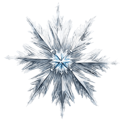Star-shaped Snowflake