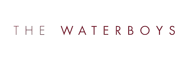 The Waterboys official 