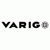 Varig Log