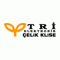 As Elektronik