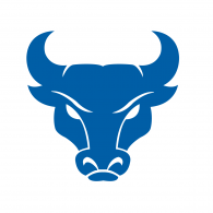 Blue Bulls
