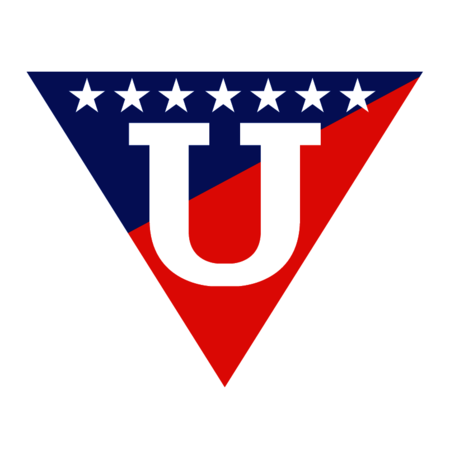 LDU