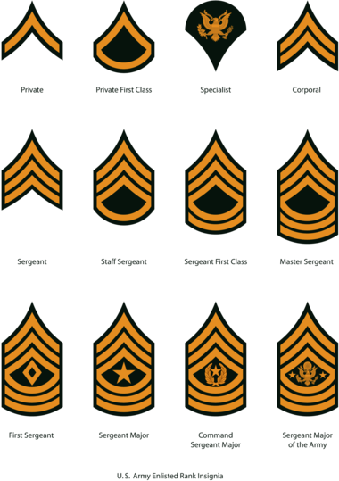 U. S. Army Enlisted Rank Insignia