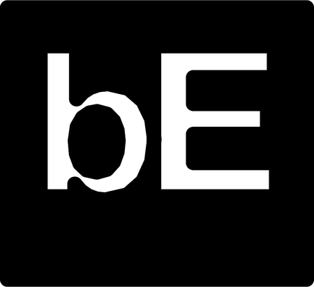 Behaviour Interactive