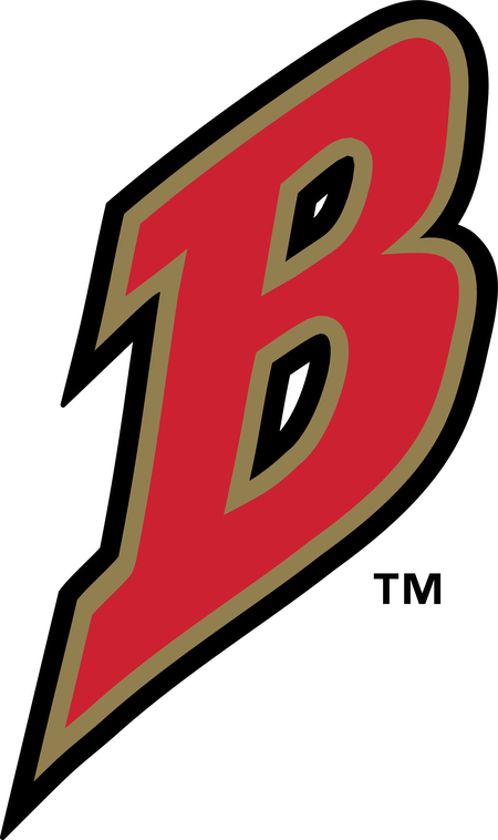 Buffalo Bisons 57969