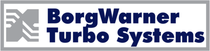 Borg Warner 46616