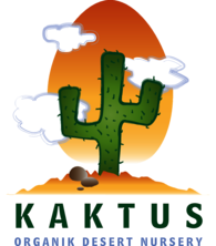 KAKTUS ORGANIK