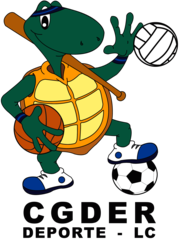 Liceo Cristiano Reverendo Juan Bueno