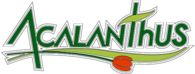 acalathus