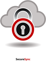 IT Secure Sync
